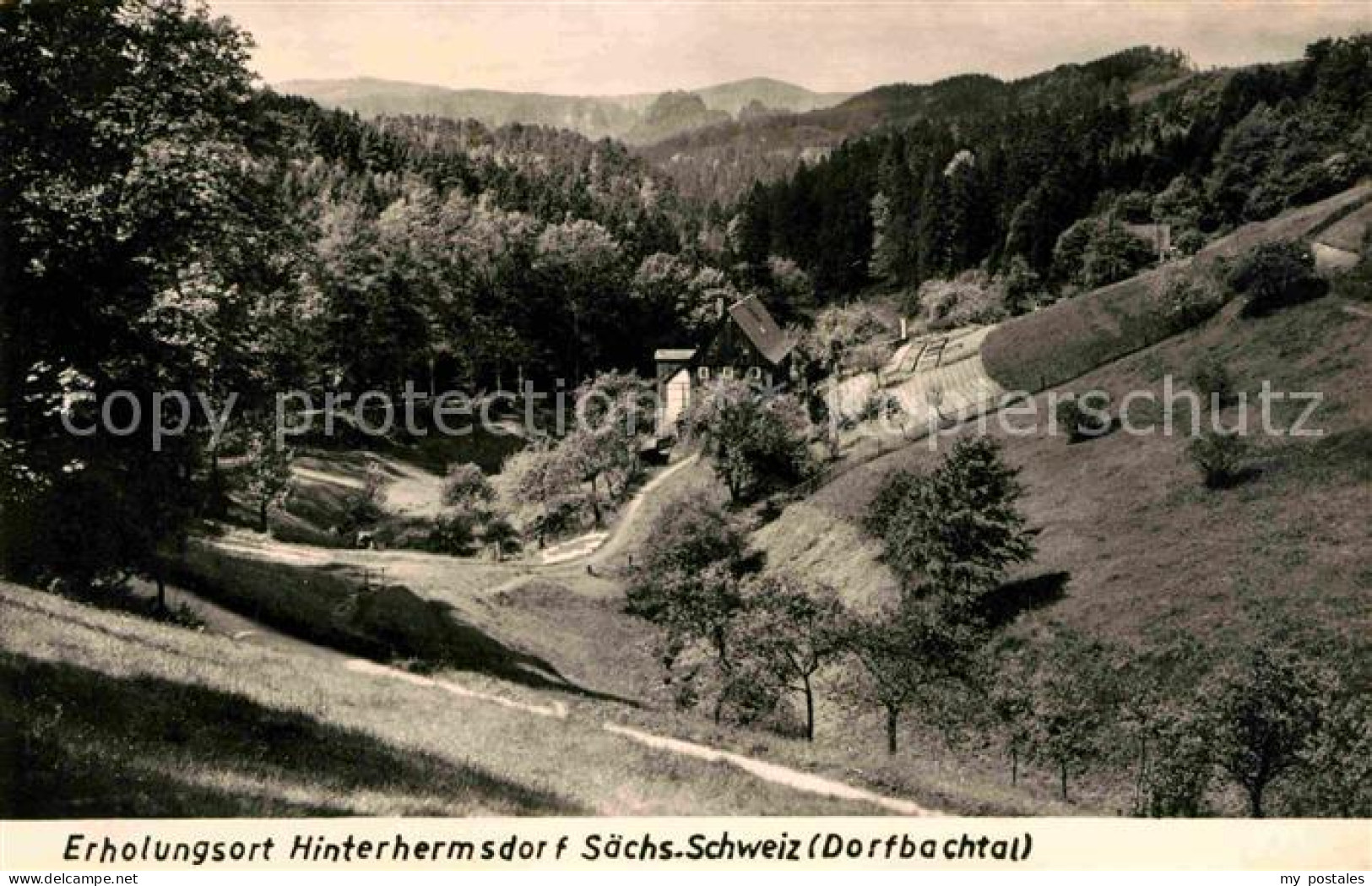Hinterhermsdorf Panorama