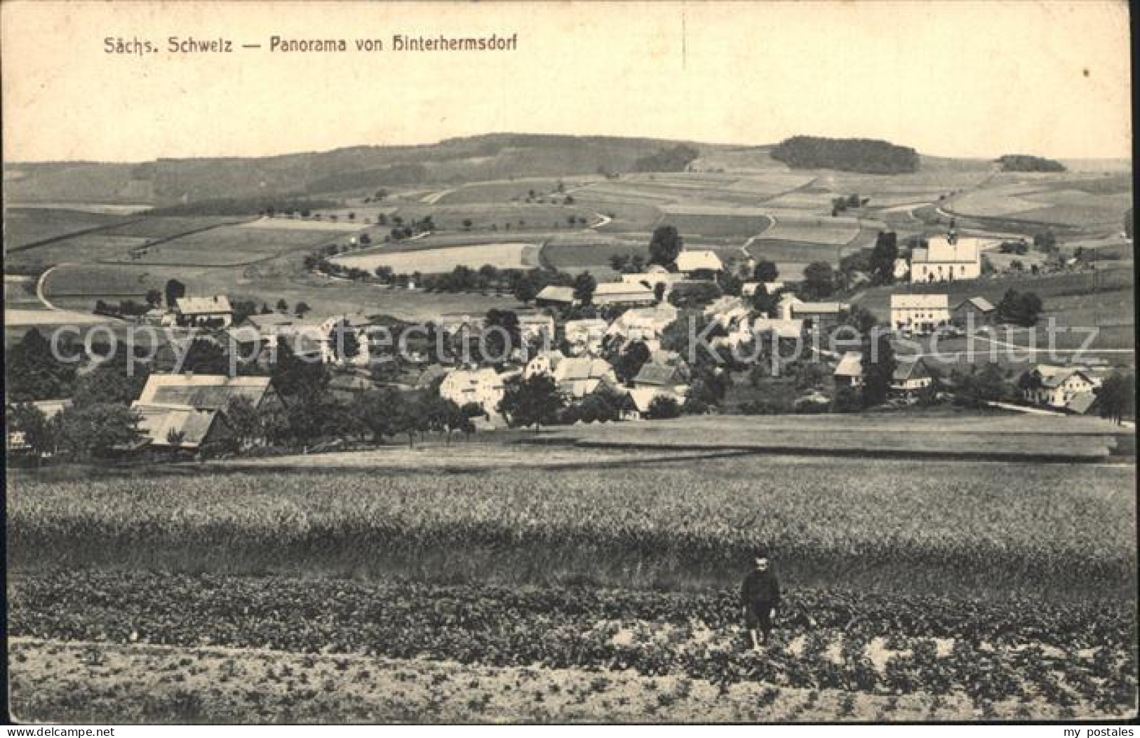 Hinterhermsdorf Panorama