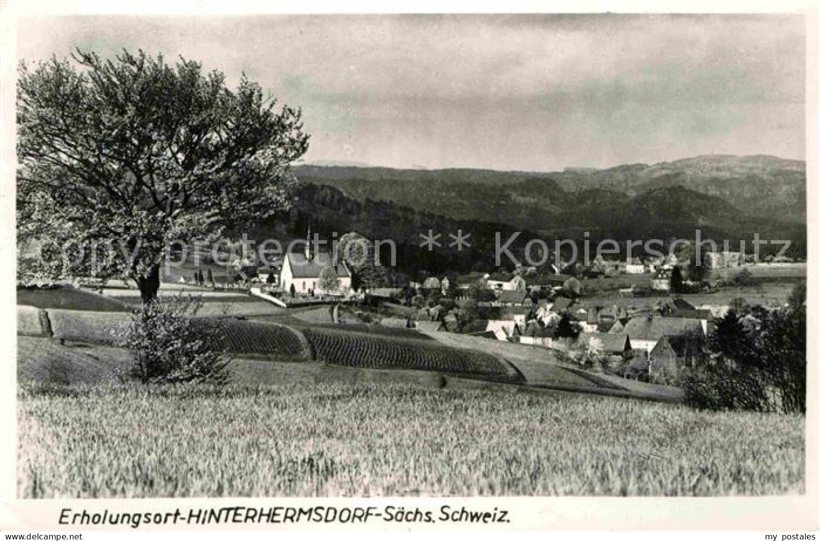 Hinterhermsdorf Panorama Erholungsort
