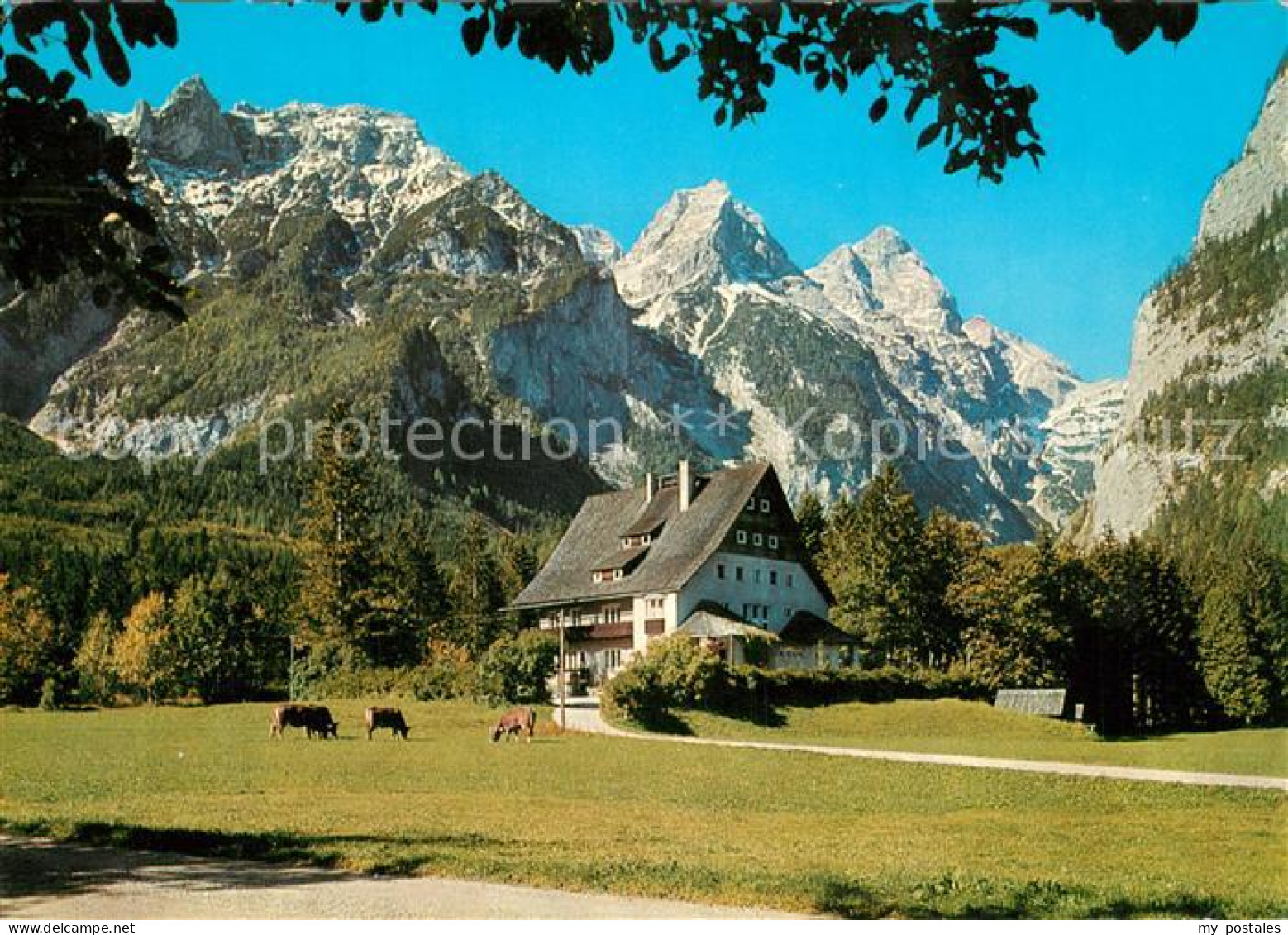 Hinterstoder Dietlgut