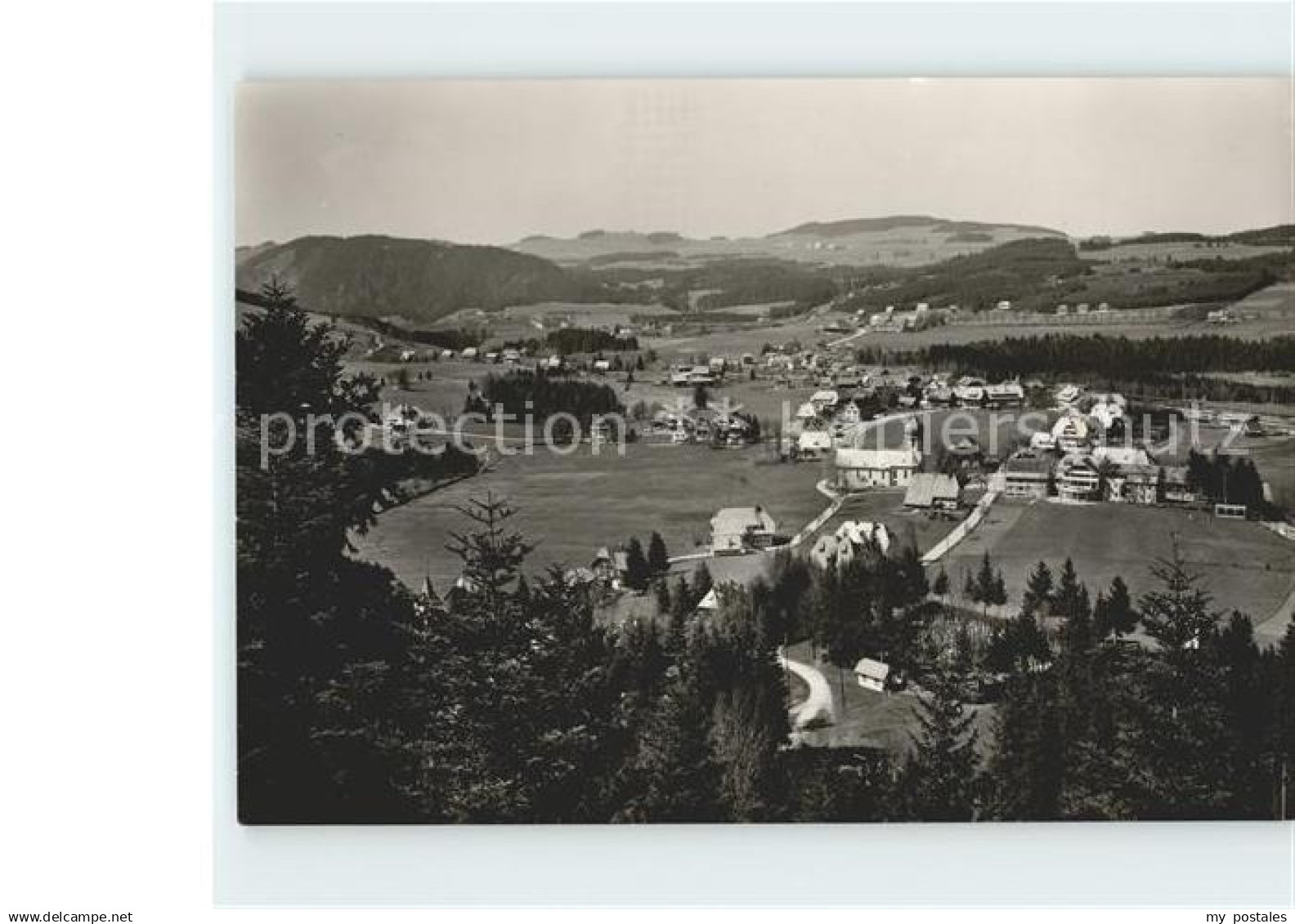 Hinterzarten