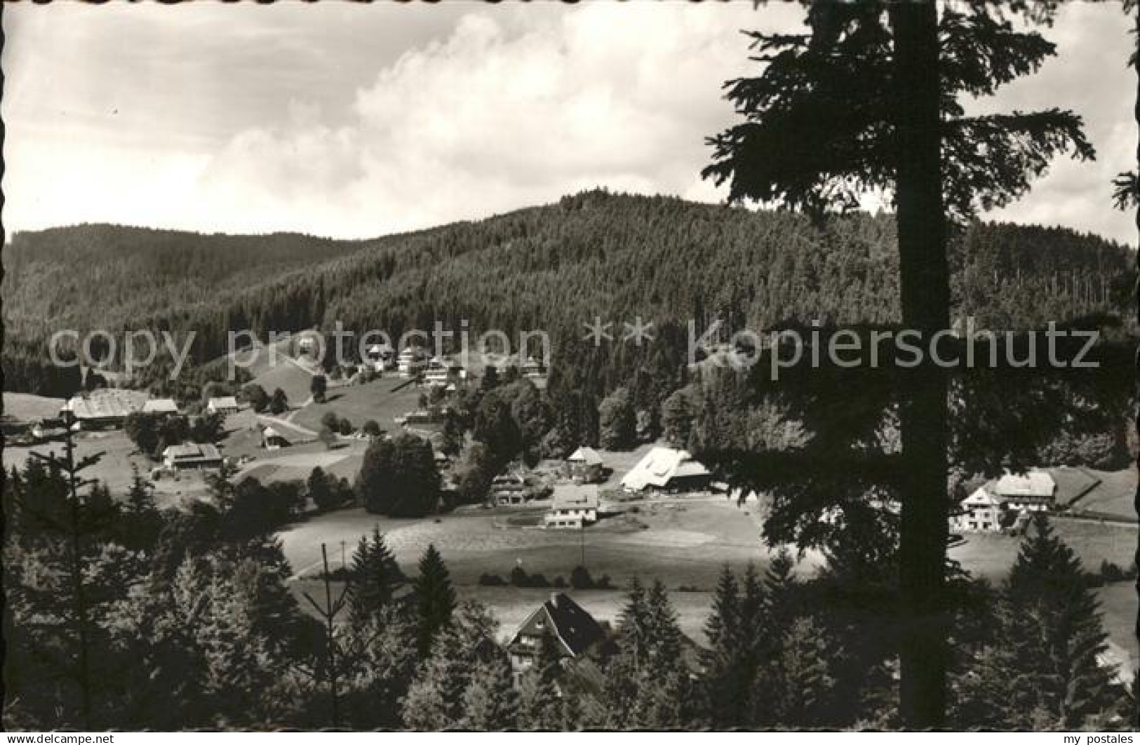 Hinterzarten