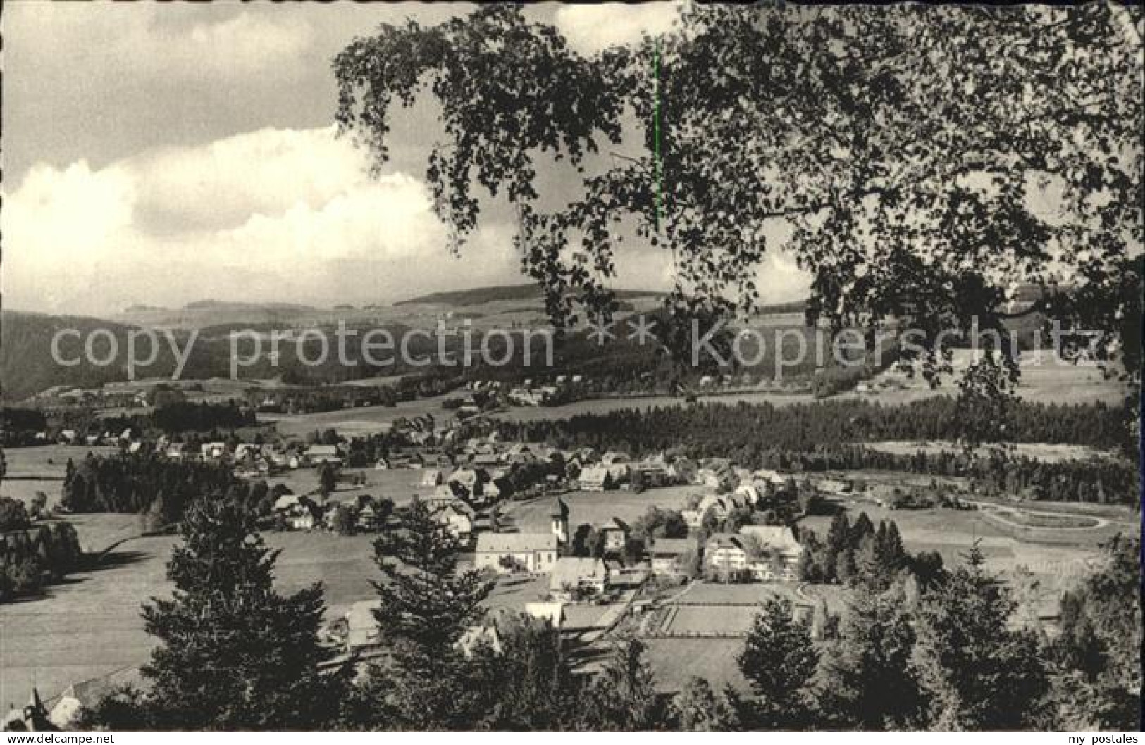 Hinterzarten