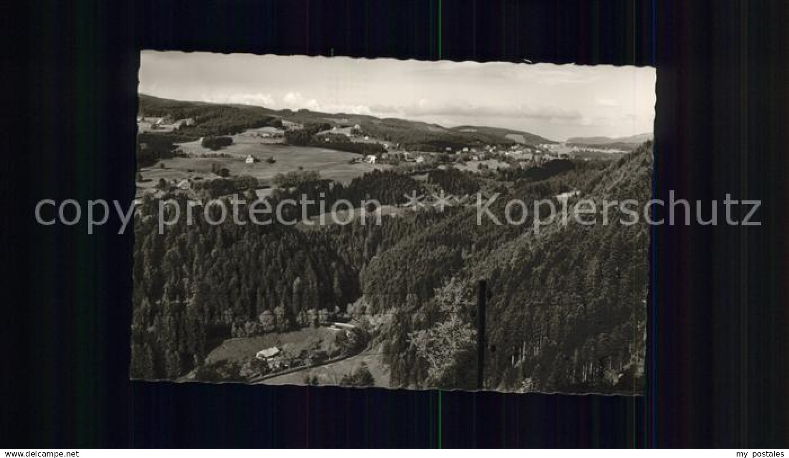 Hinterzarten