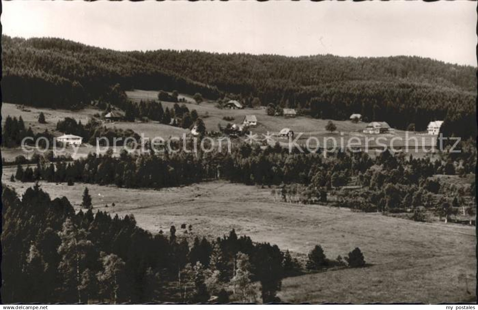 Hinterzarten