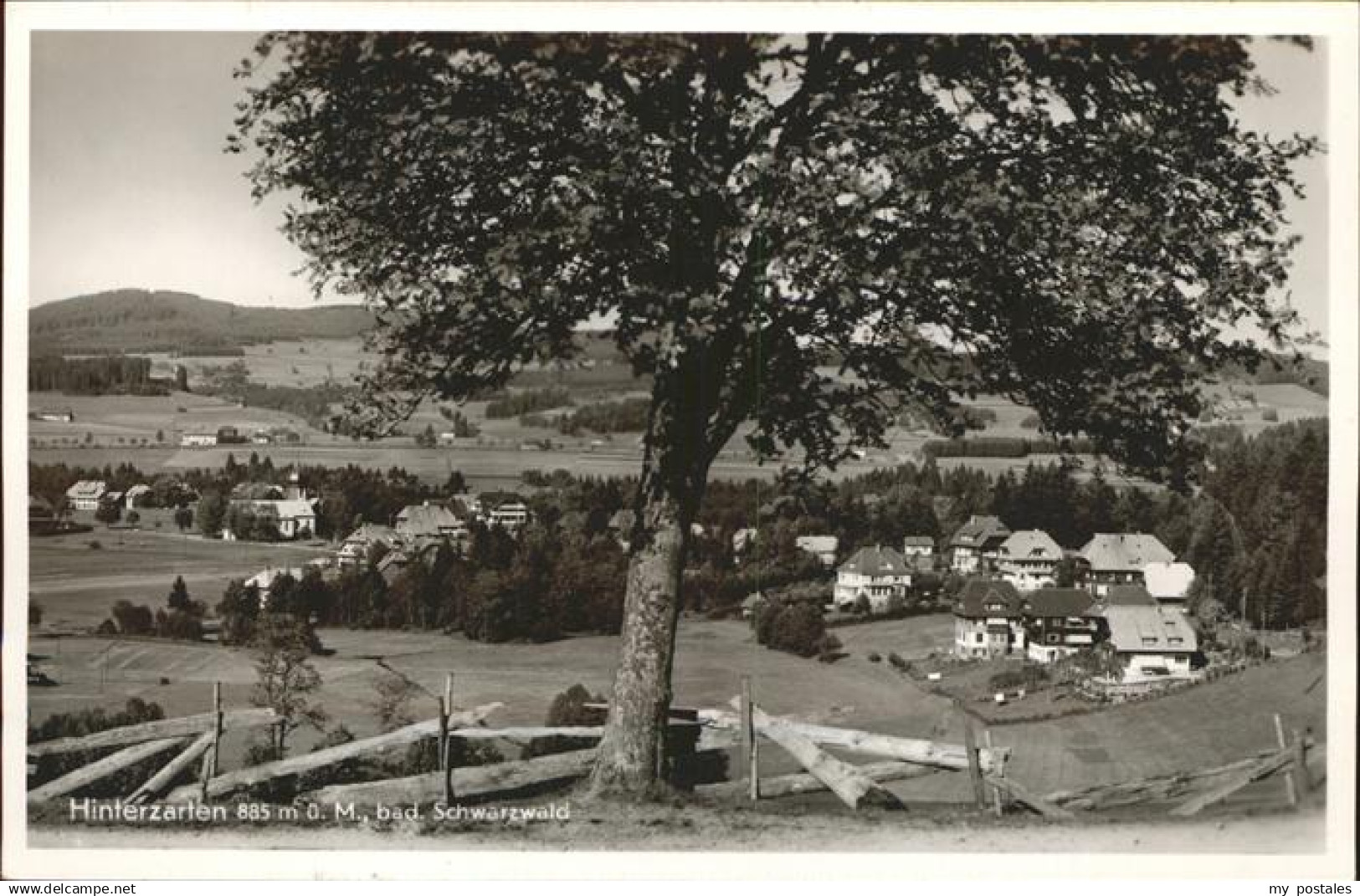 Hinterzarten