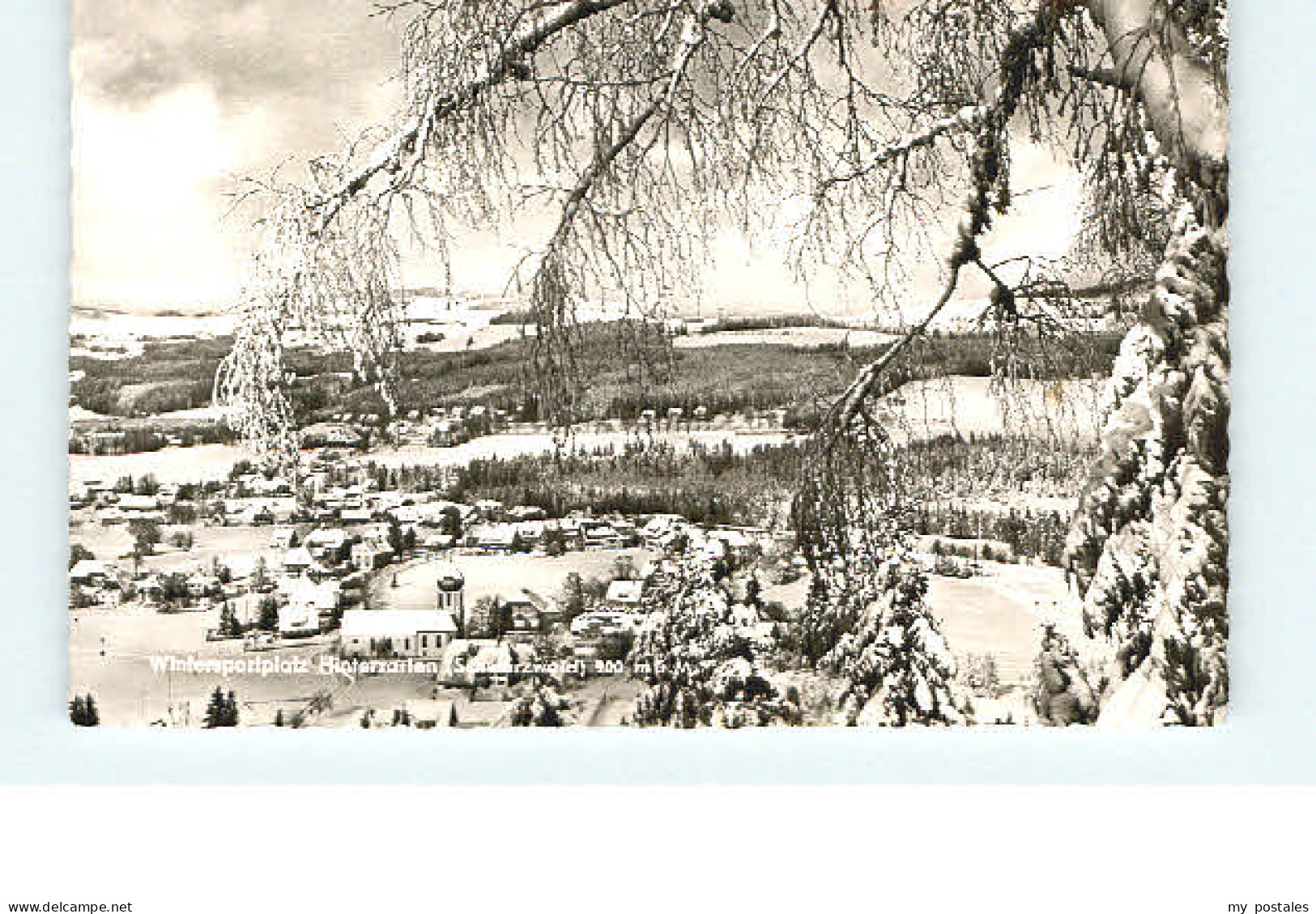 Hinterzarten Breisgau-Hochschwarzwald BW