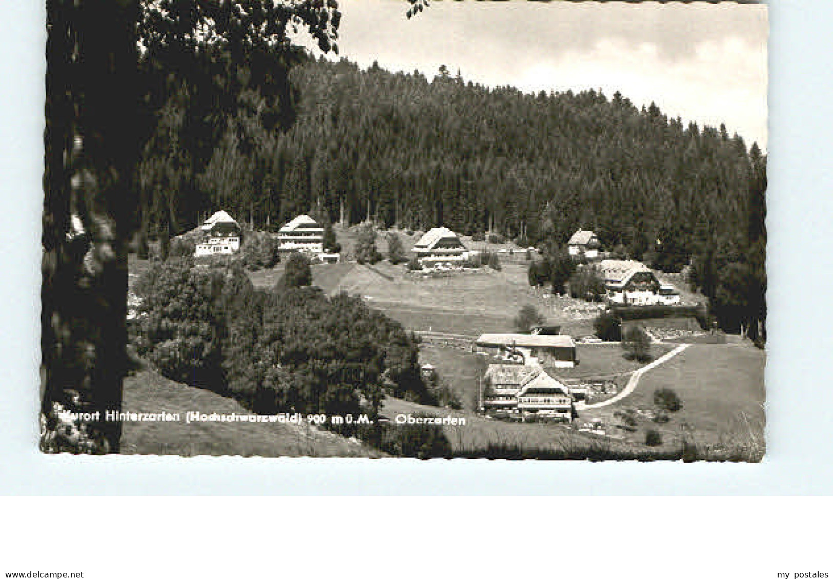 Hinterzarten Breisgau-Hochschwarzwald BW