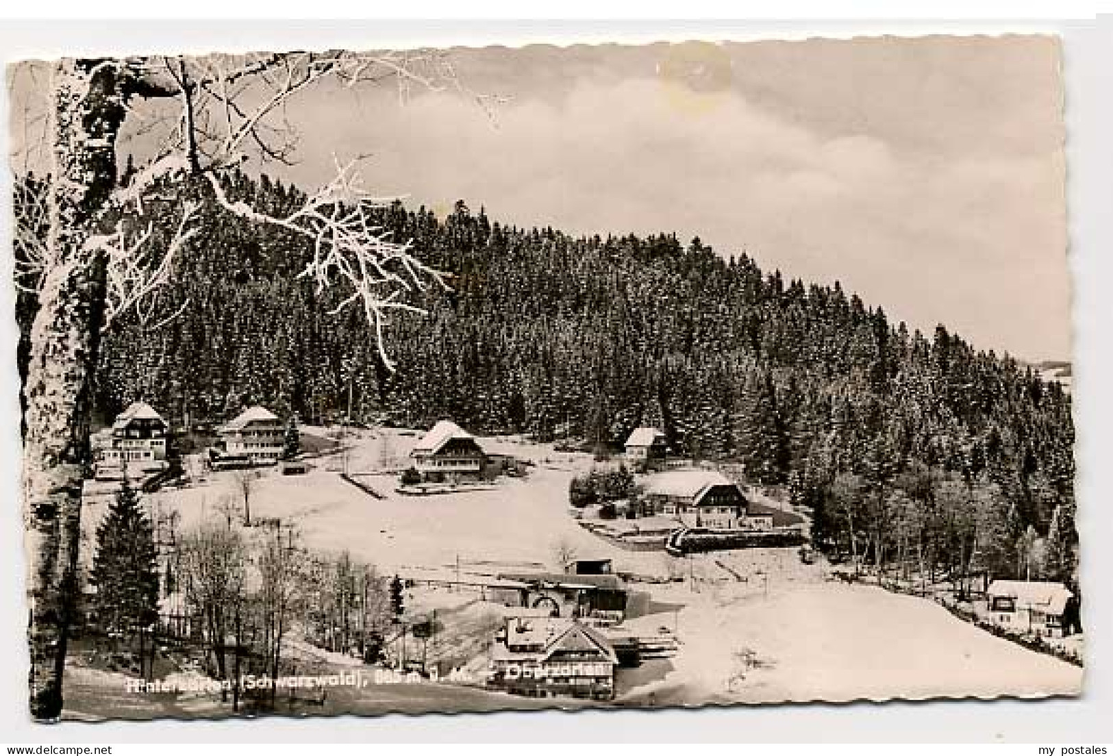 Hinterzarten Breisgau-Hochschwarzwald BW Hinterzarten