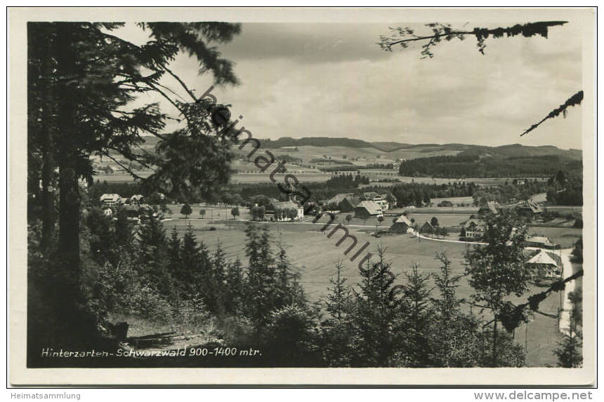 Hinterzarten - Foto-AK - Verlag E. Kresse Hinterzarten gel. 1931