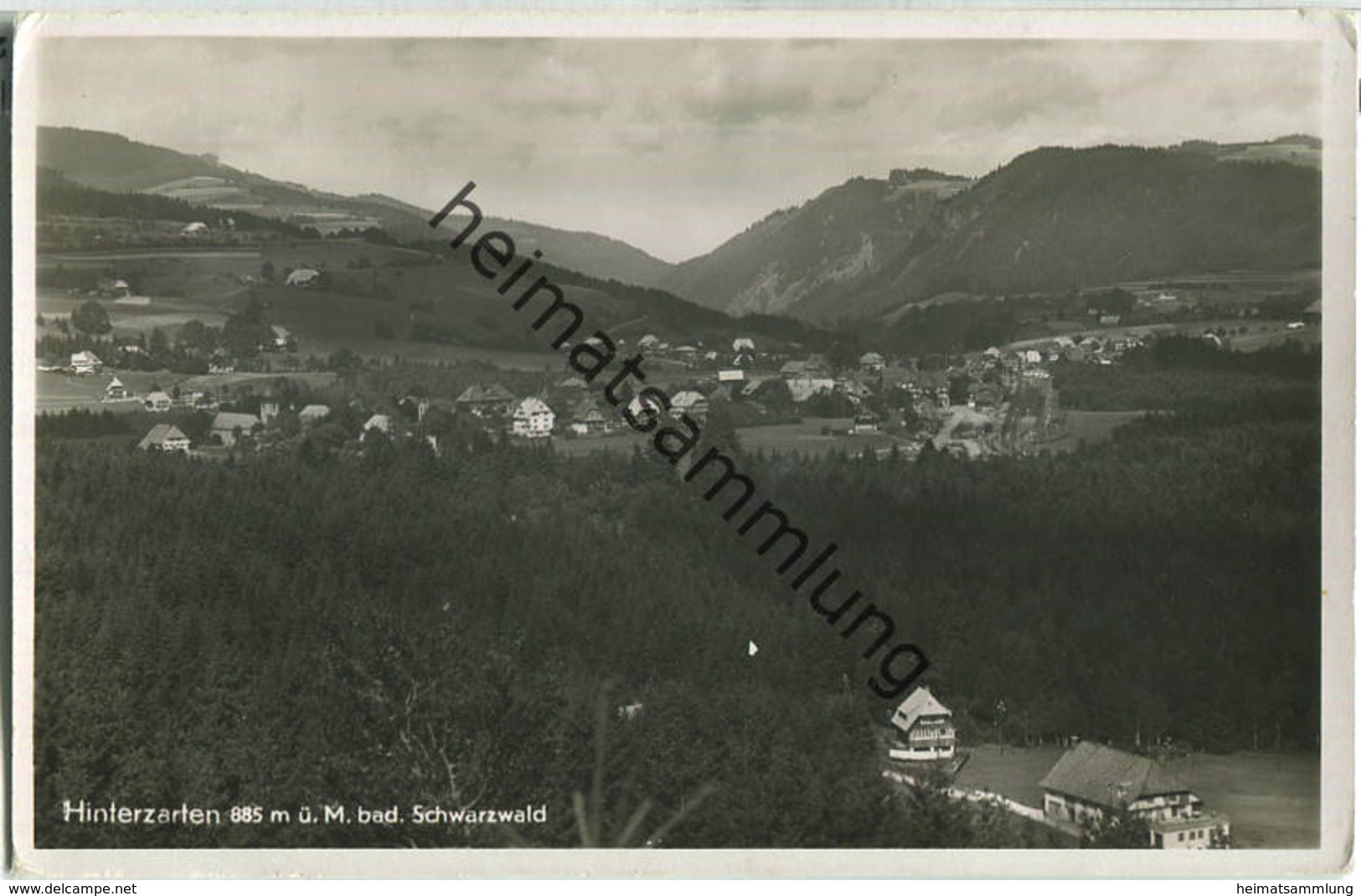 Hinterzarten - Foto-Ansichtskarte