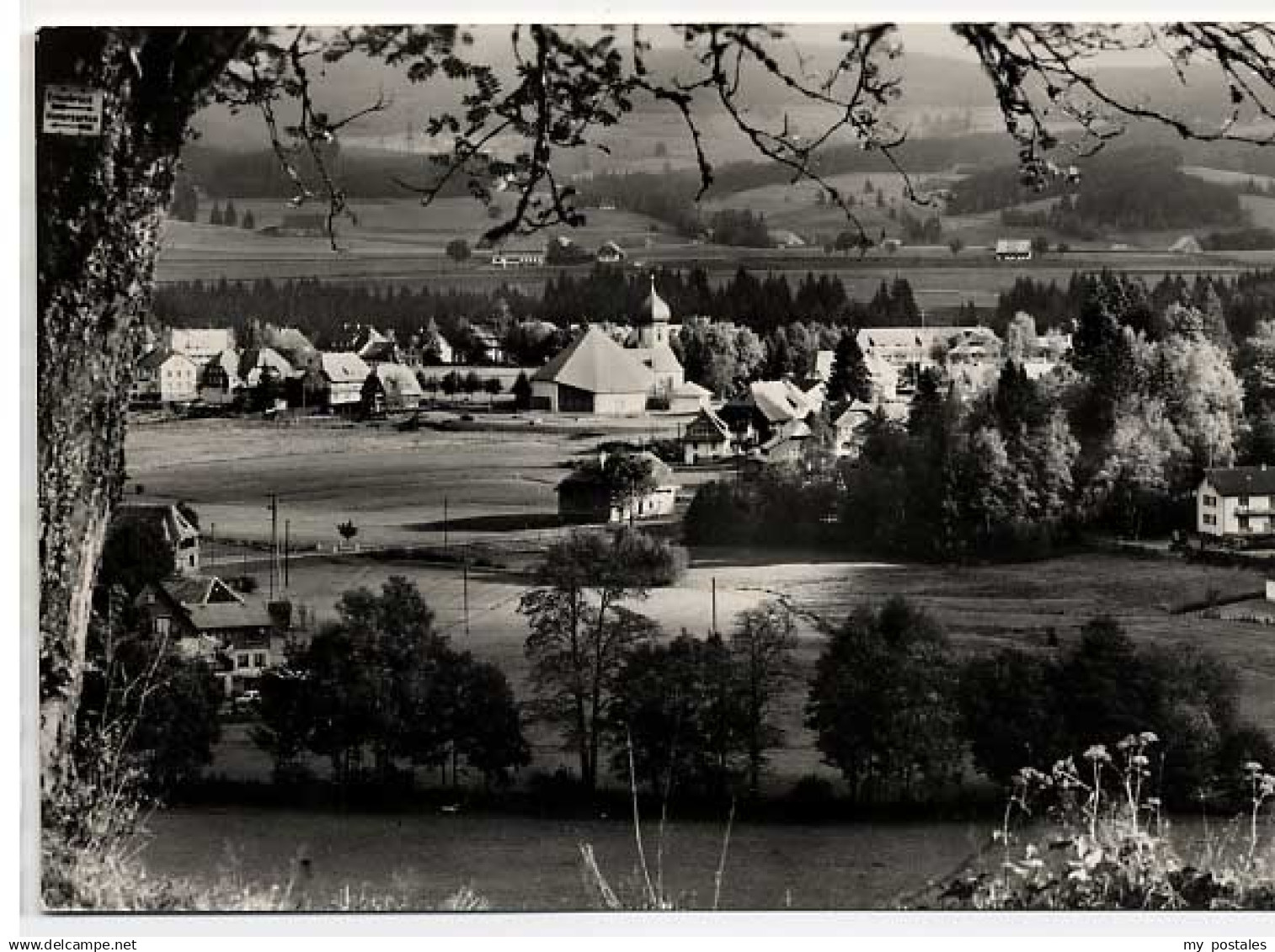 Hinterzarten Hinterzarten
