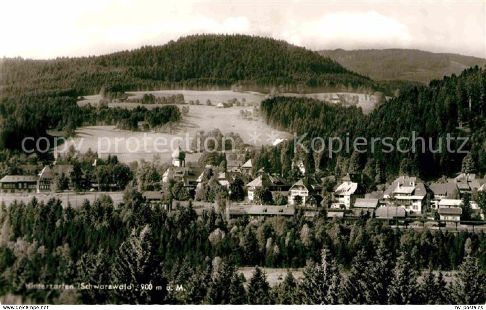 Hinterzarten Panorama