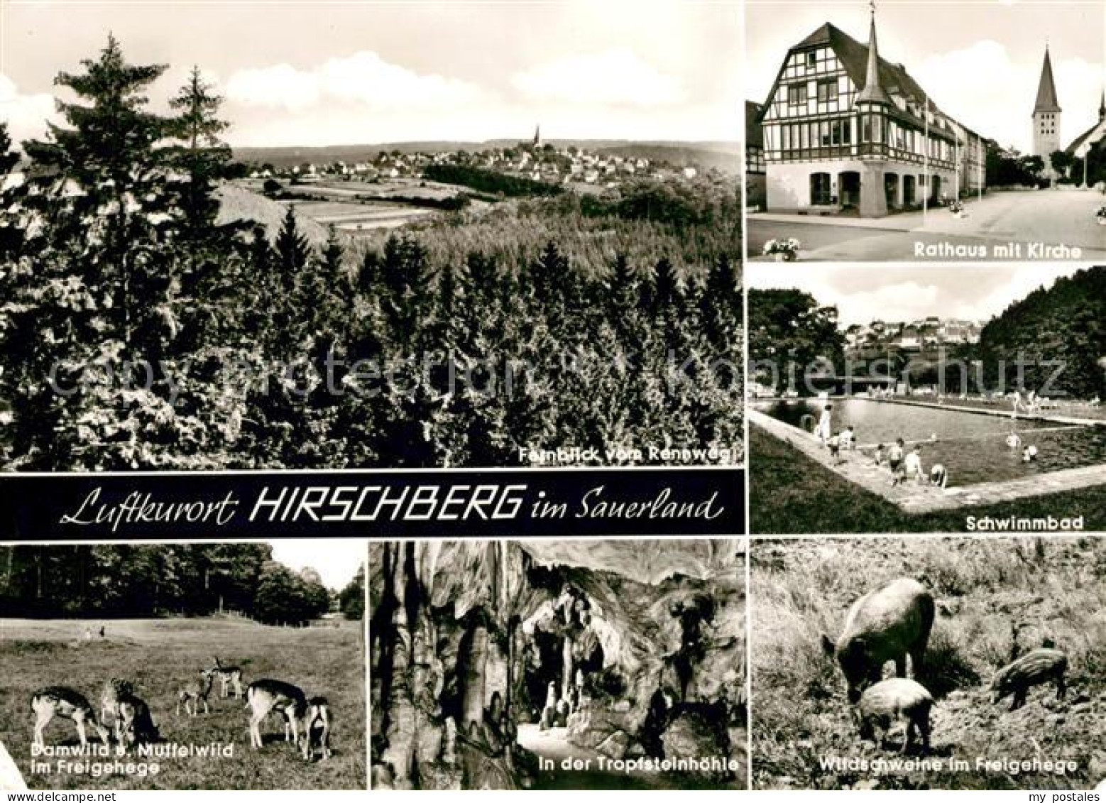 Hirschberg Warstein Rathaus Schwimmbad Tropfsteinhoehle Wild