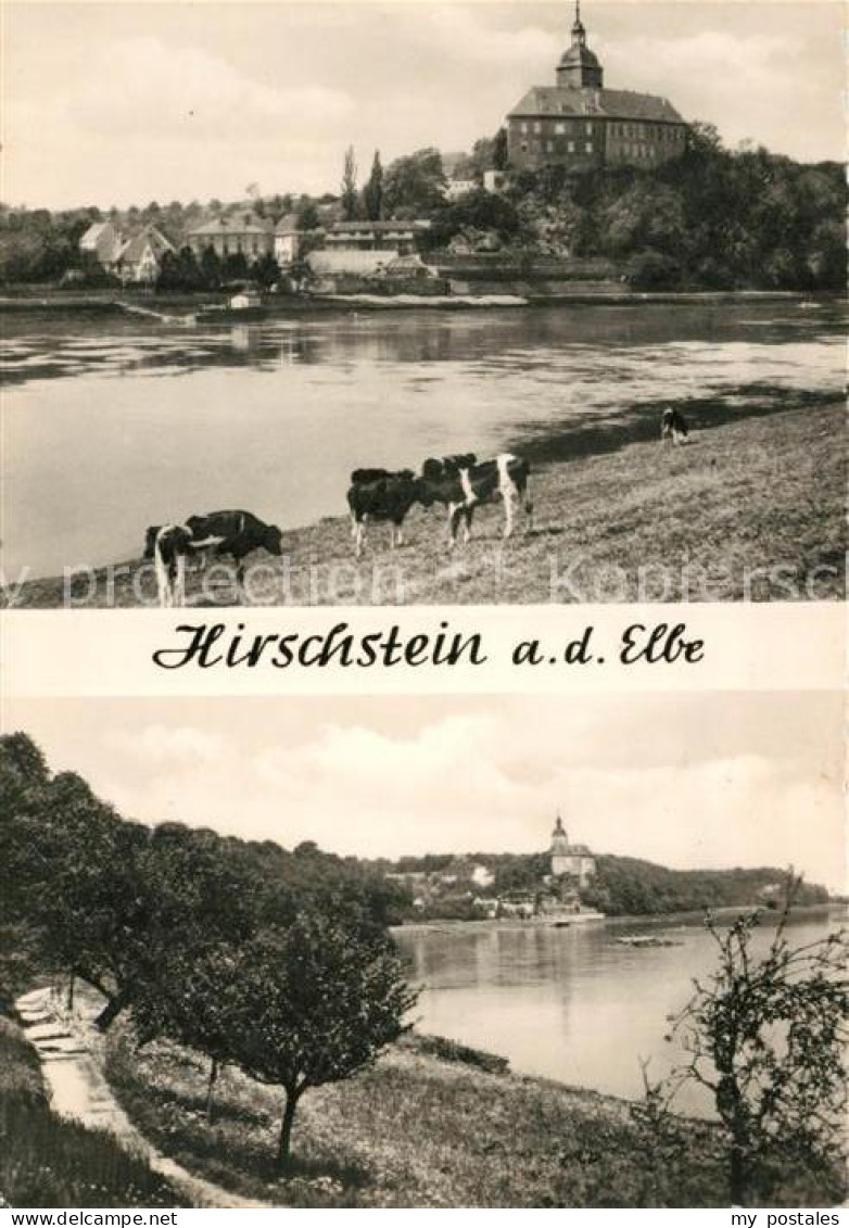Hirschstein Elbe Riesa Schloss Panorama