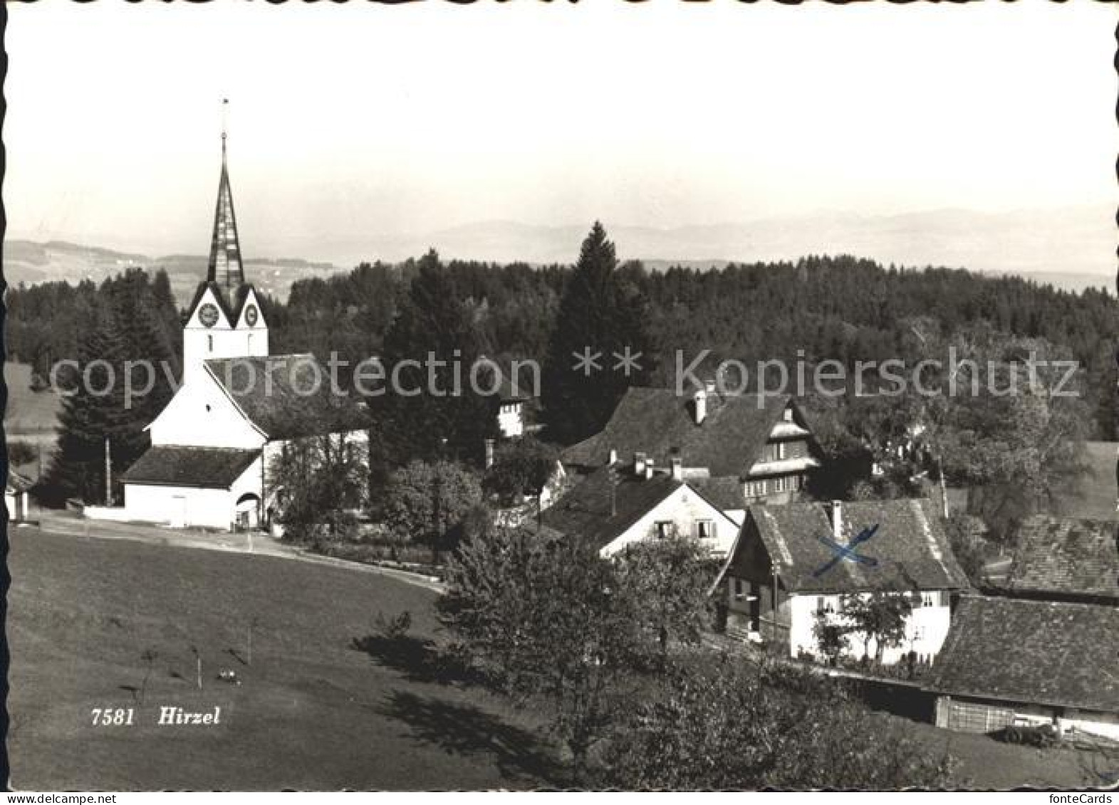 Hirzel Horgen Ortsblick