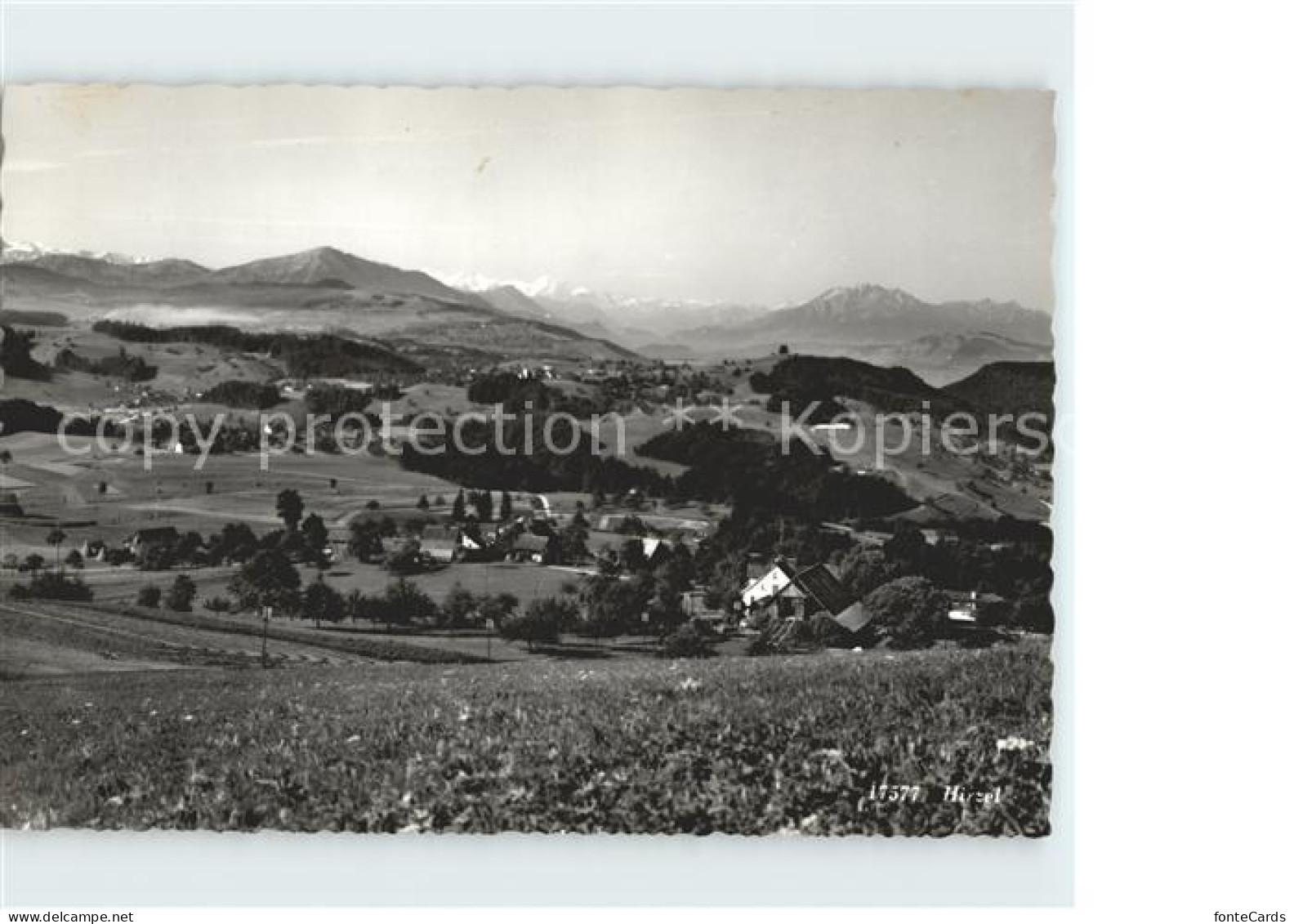 Hirzel Horgen Panorama