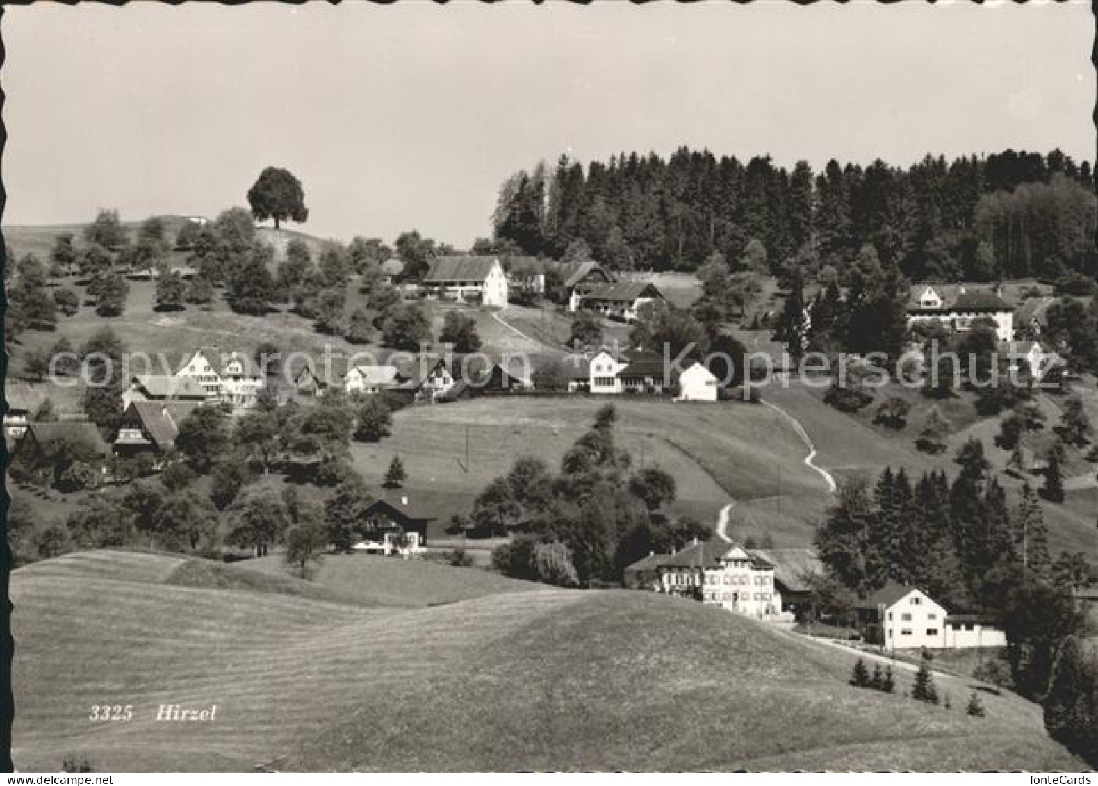 Hirzel Waedenswil