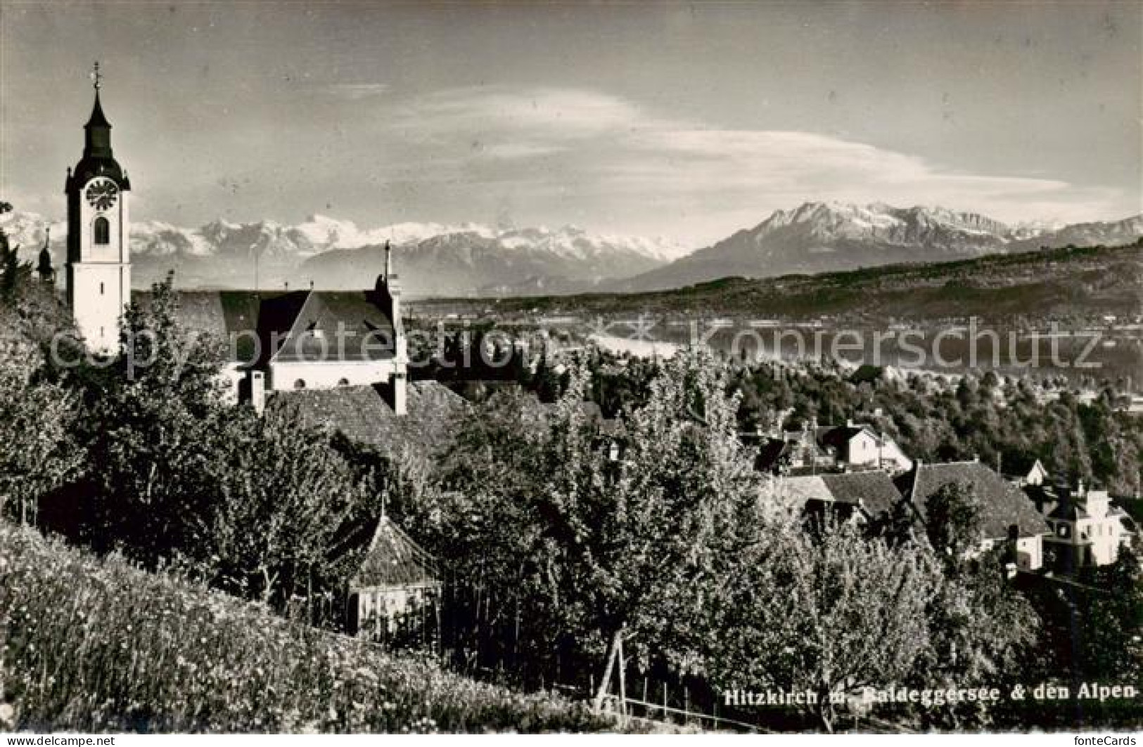 Hitzkirch am Baldeggersee mit Kirche und Alpenblick