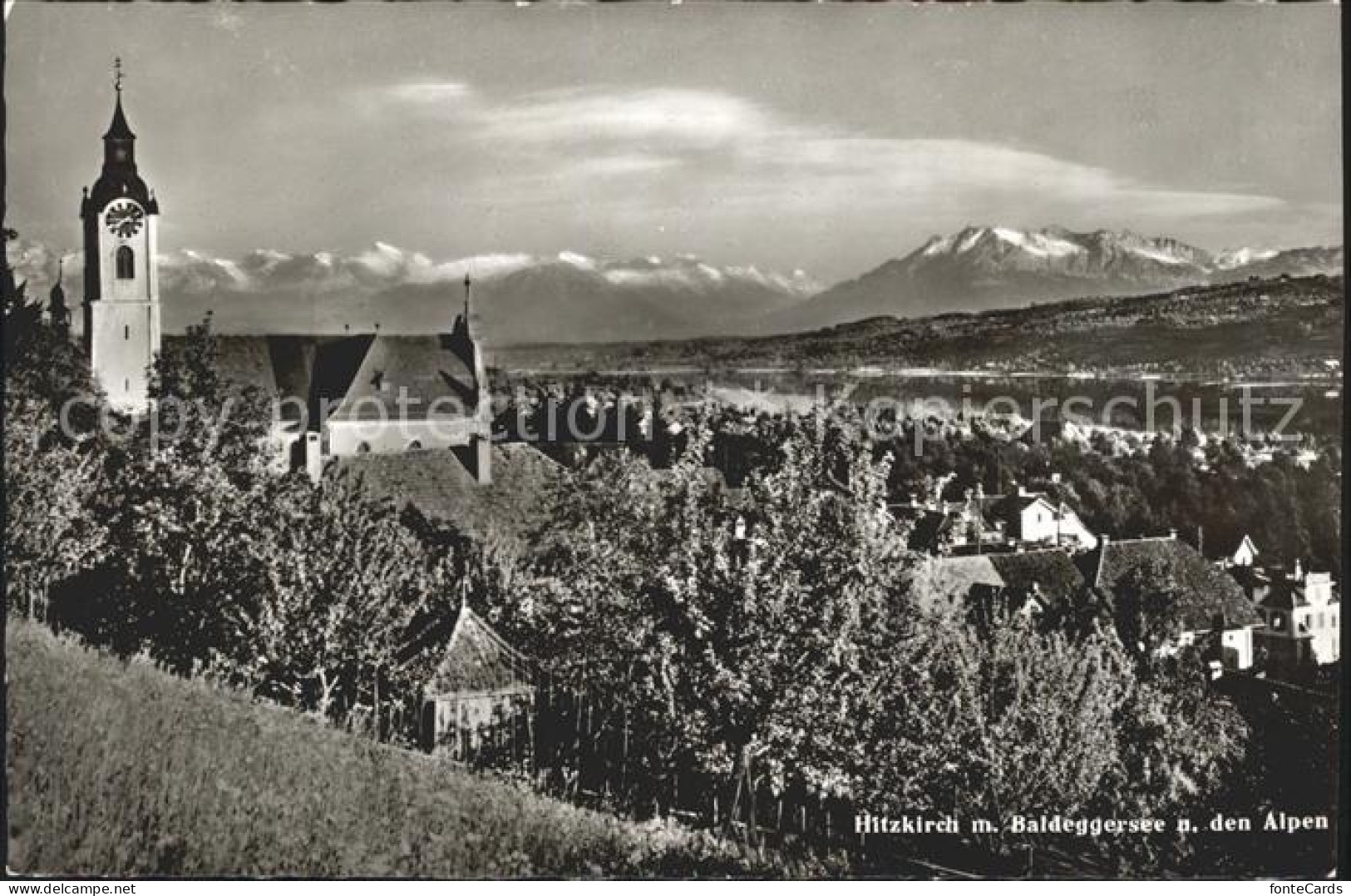 Hitzkirch Baldeggersee