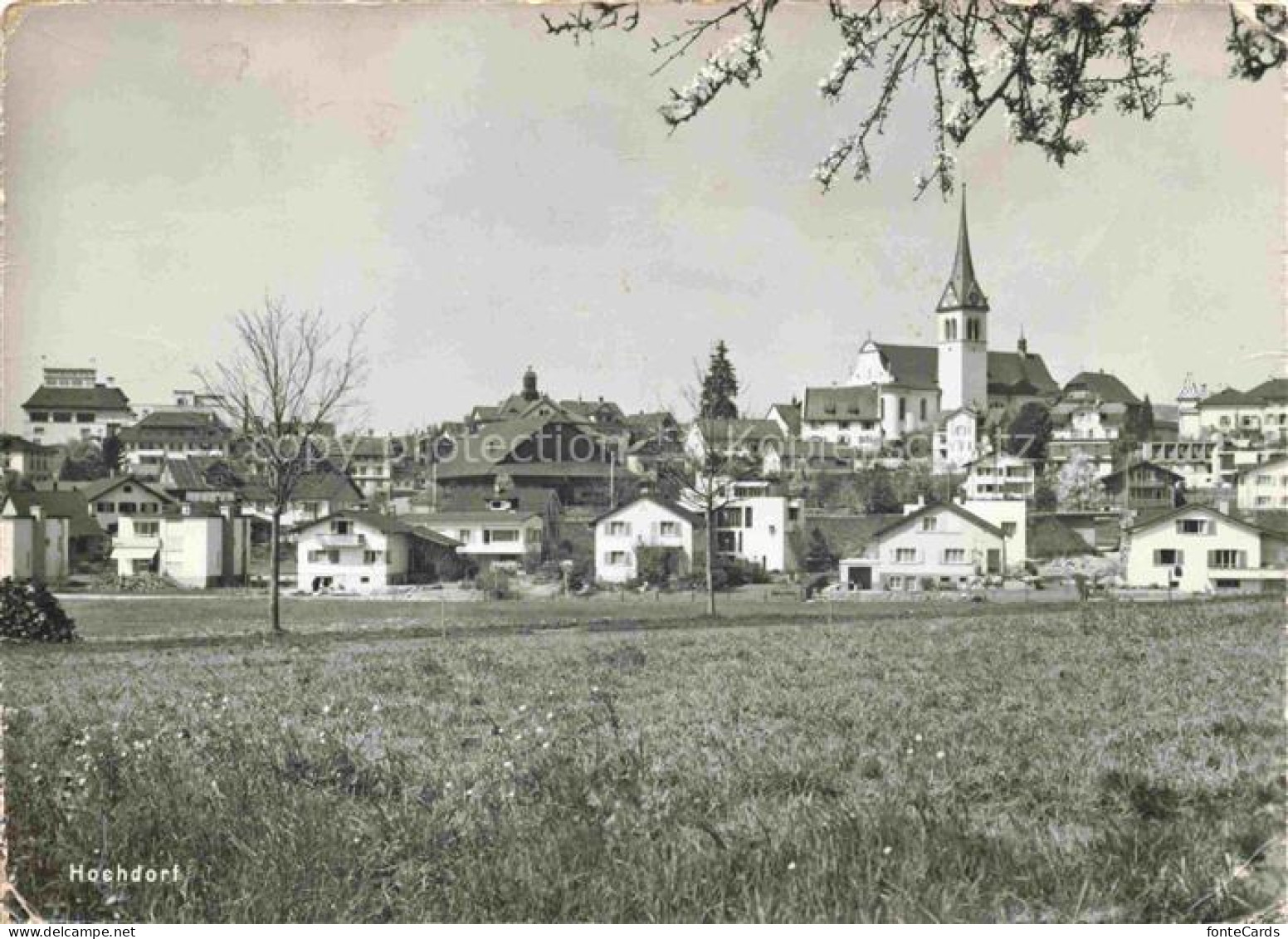 Hochdorf  LU Panorama