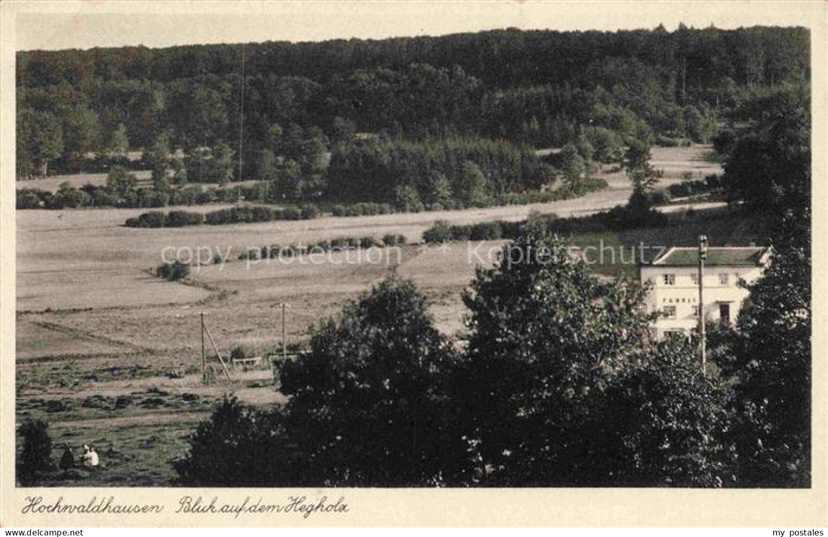 Hochwaldhausen Grebenhain Vogelsbergkreis Hessen Hegholz Felder Wald Panorama Er