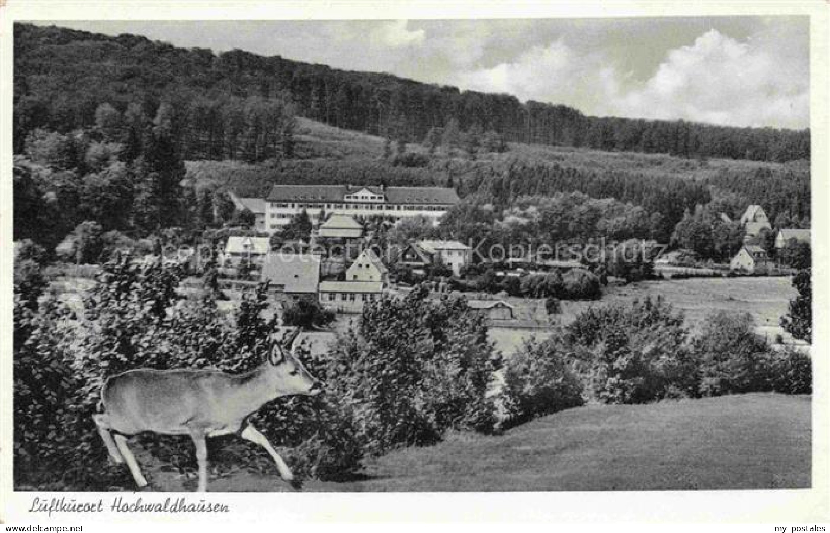 Hochwaldhausen Grebenhain Vogelsbergkreis Hessen Luftkurort Panorama Sanatorium