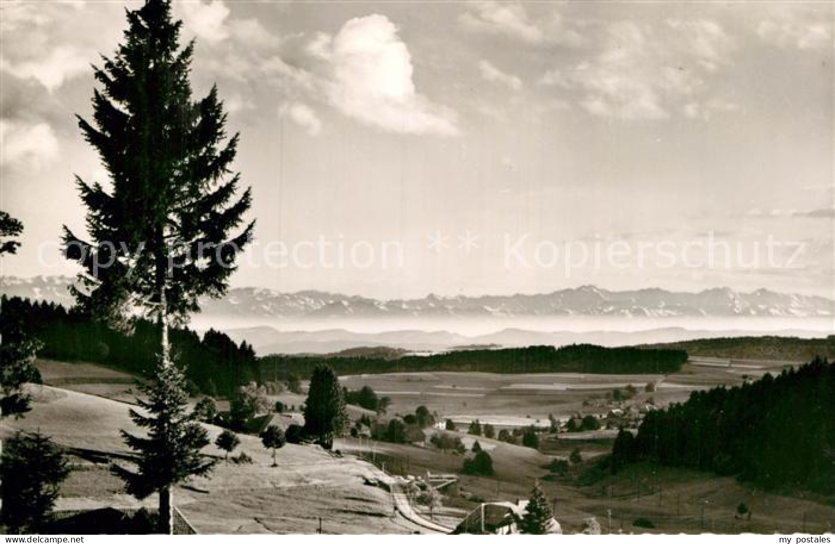 Hoechenschwand Schwarzwald BW Panorama