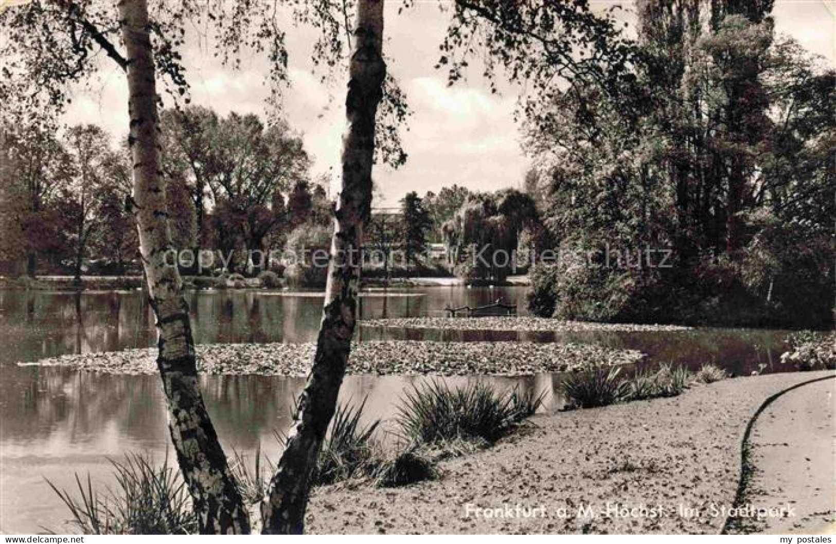 Hoechst am Main Hoechst FRANKFURT AM MAIN Hessen Stadtpark