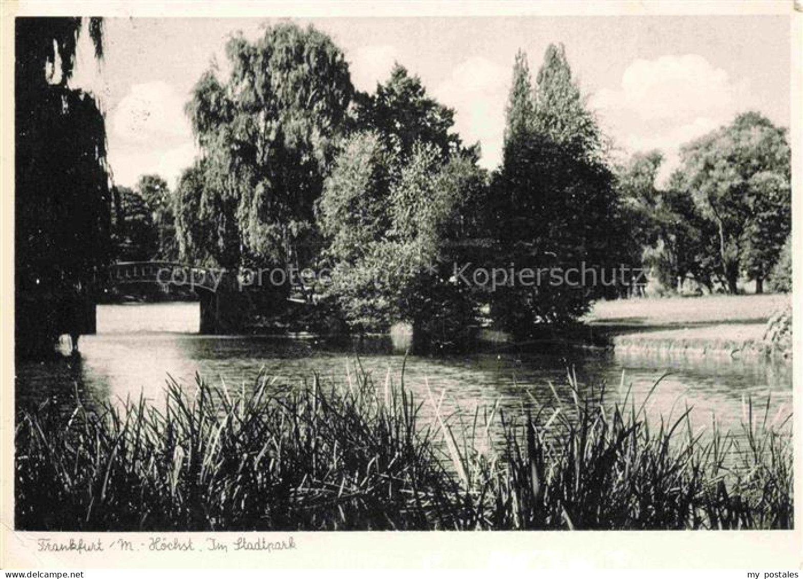 Hoechst Hoechst Frankfurt Main Stadtpark Teich Bruecke Baeume Trauerweide Graese