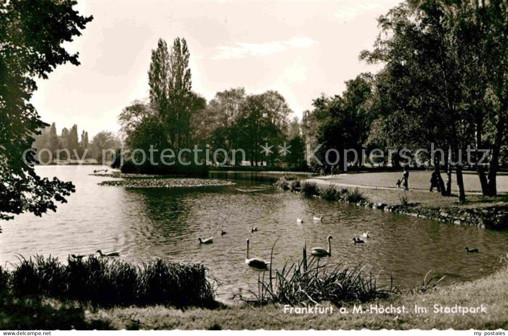 Hoechst Main Stadtpark