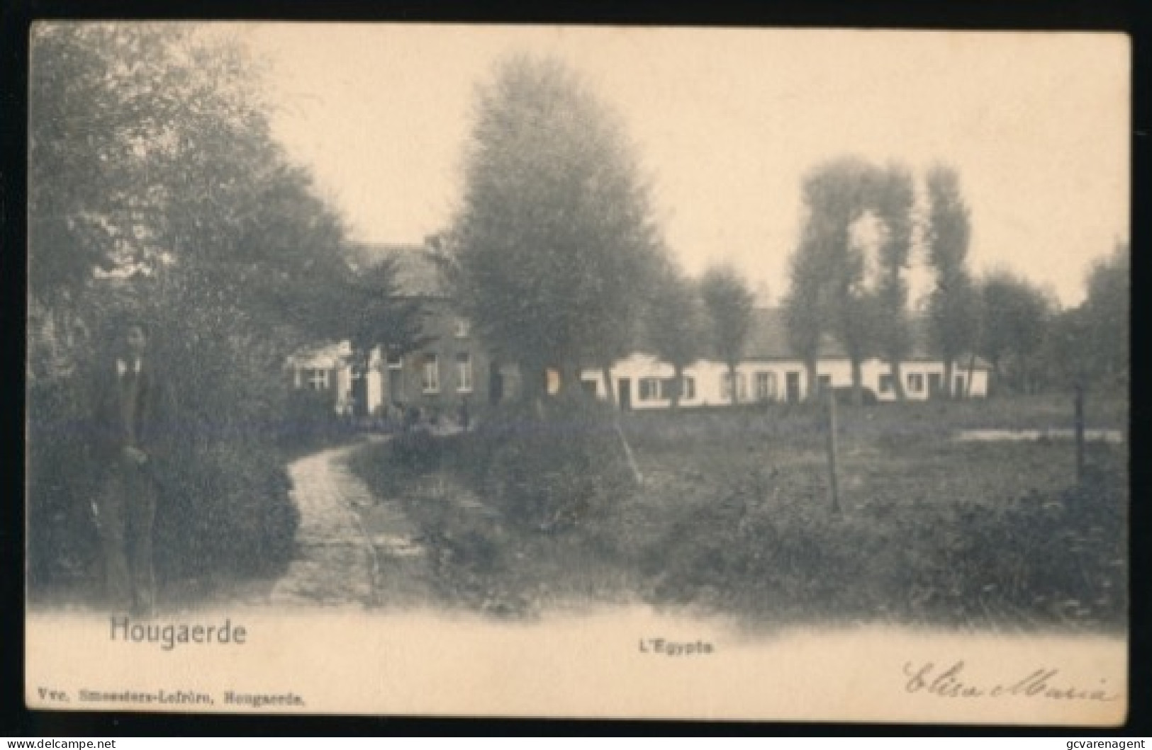 HOEGAARDEN     L'EGYPTE.