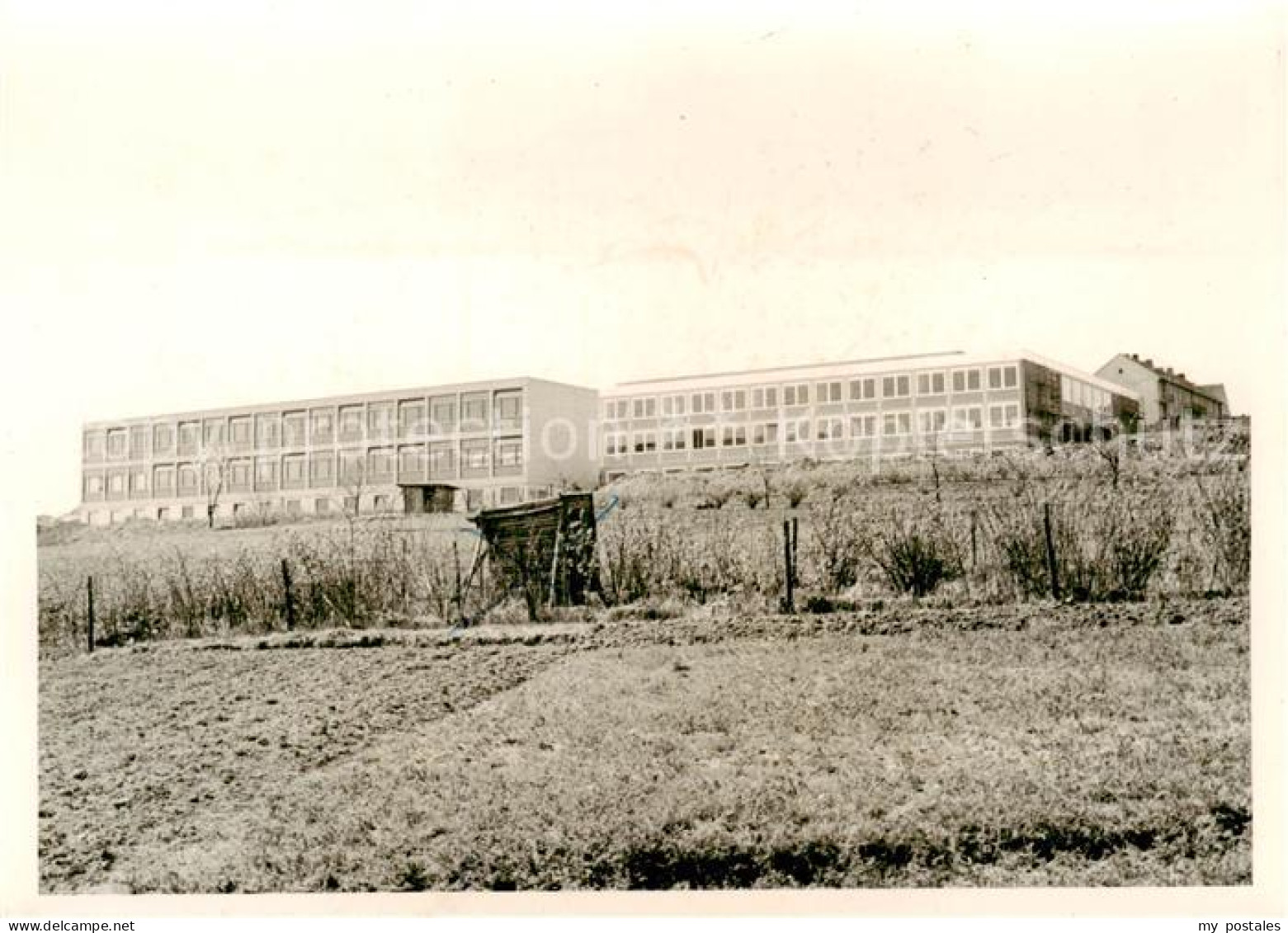 Hoehr-Grenzhausen Schule
