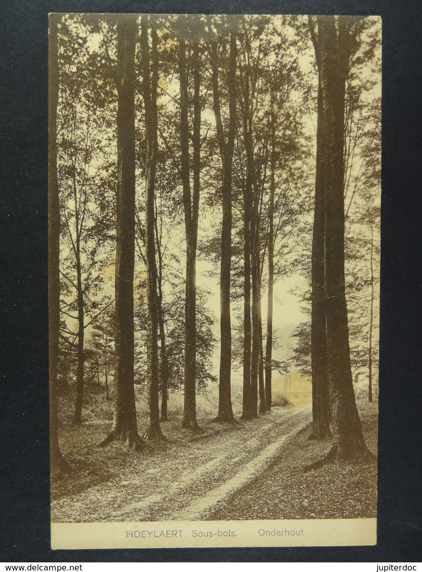 Hoeilaart Sous-bois Onderhout
