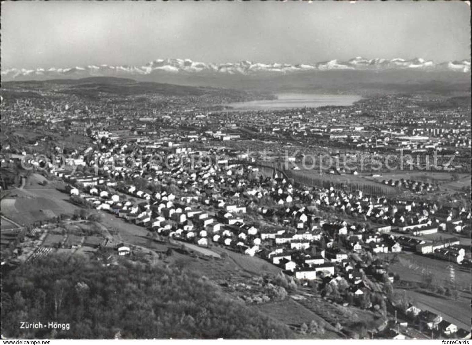 Hoengg Zuerich Gesamtansicht mit Alpenpanorama Zuerichsee Fliegeraufnahme