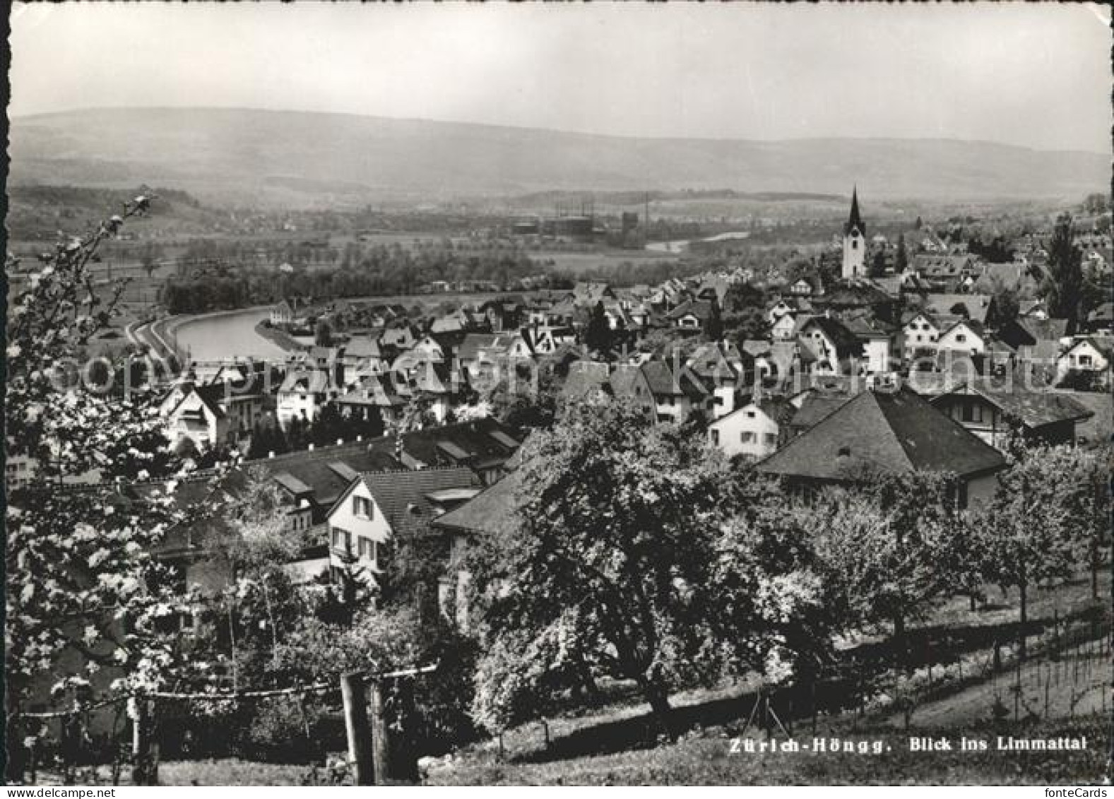 Hoengg Zuerich Panorama Blick ins Limmattal Baumbluete
