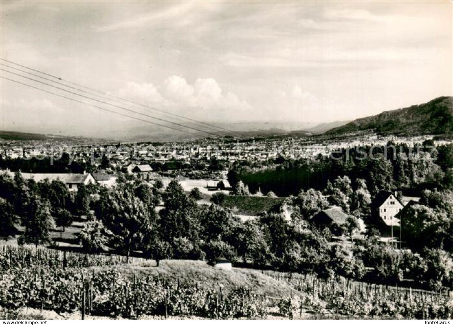 Hoengg Zuerich Tea Room Roetihof Panorama