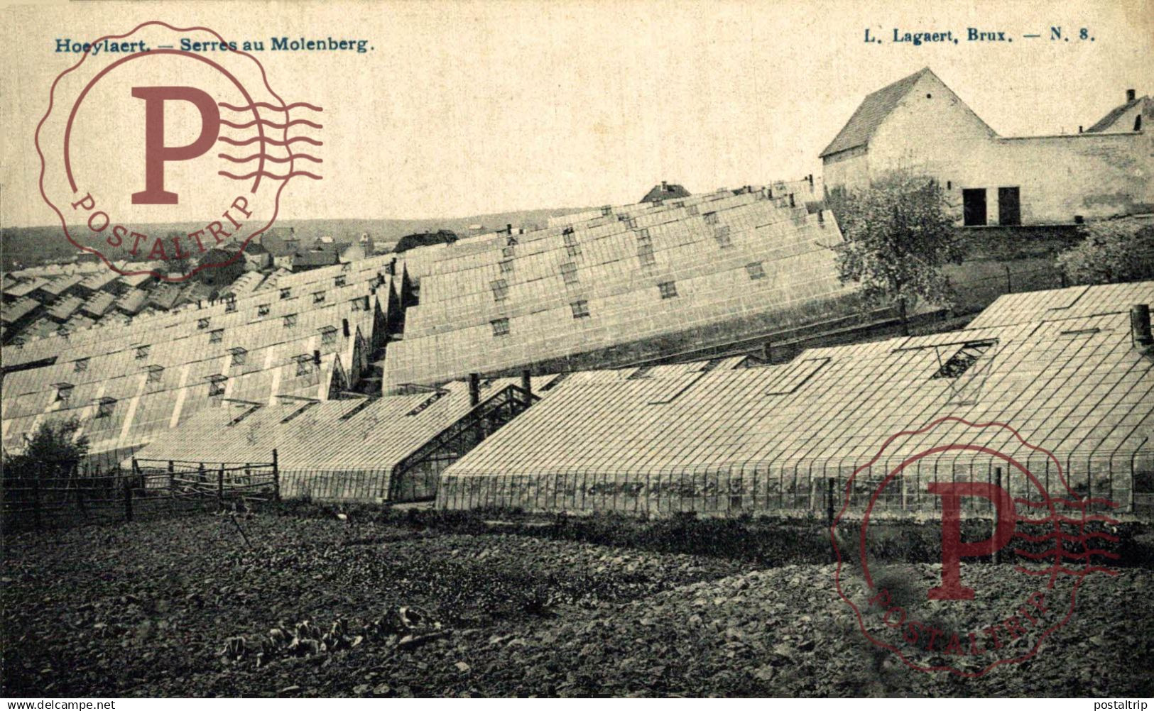 Hoeylaert - Hoeilaart. - Serres Au Molenberg