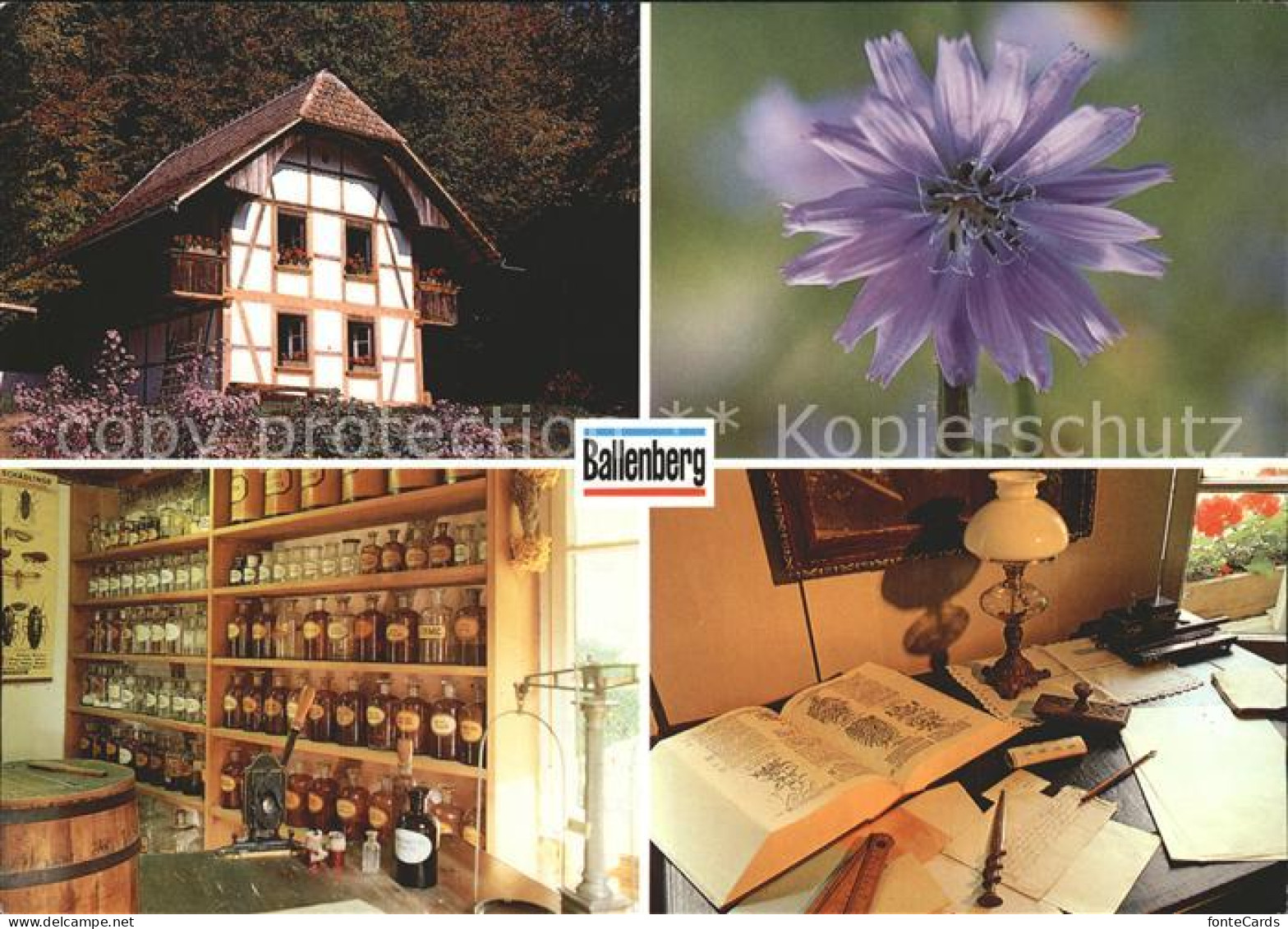 Hofstetten Brienz Freilichtmuseum Ballenberg Brienz