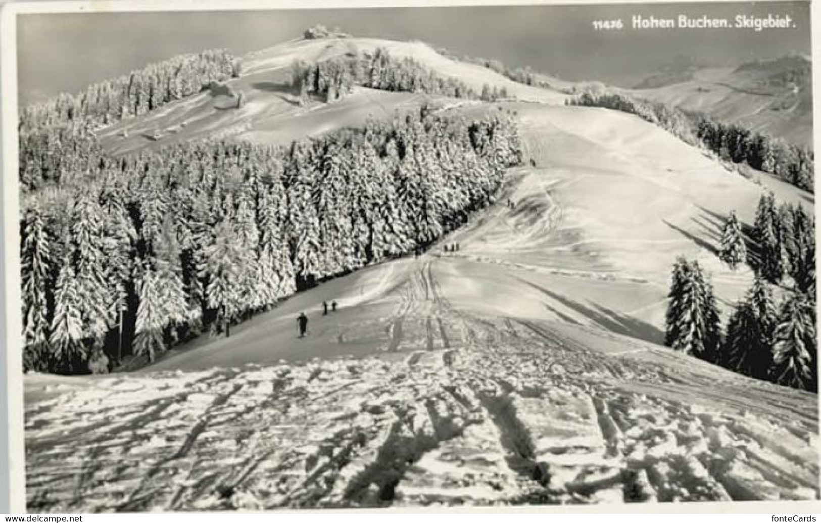 Hohen Buchen Hohenbuchen AR Buchen