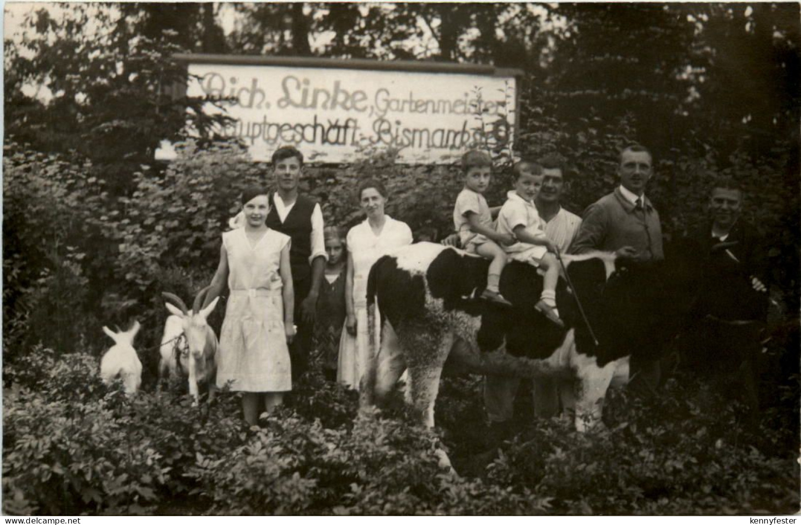 Hohenstein- Ernstthal - Gärtnerei