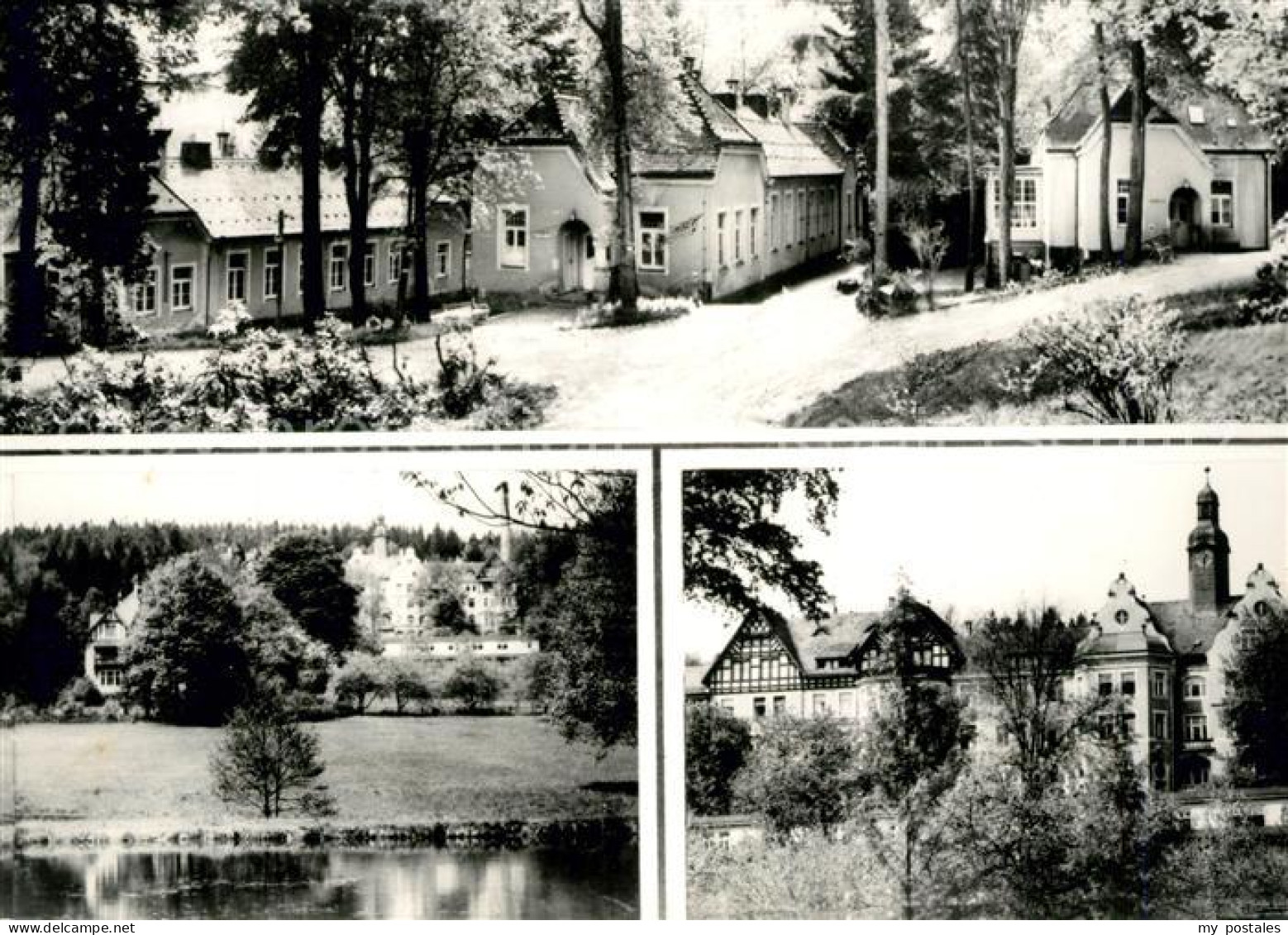 Hohwald Sachsen Gesundheitseinrichtung Details