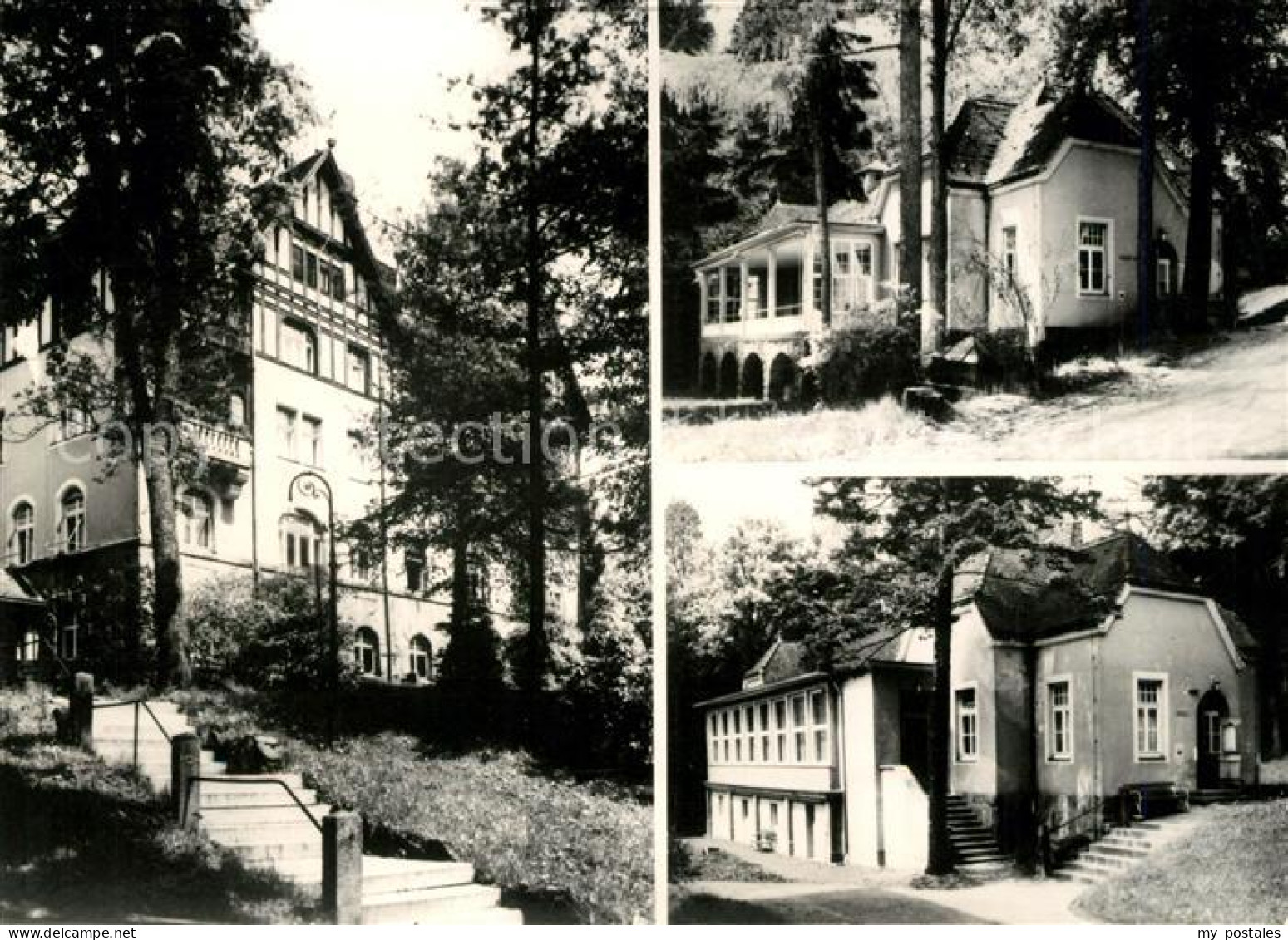 Hohwald Sachsen Gesundheitseinrichtung Details