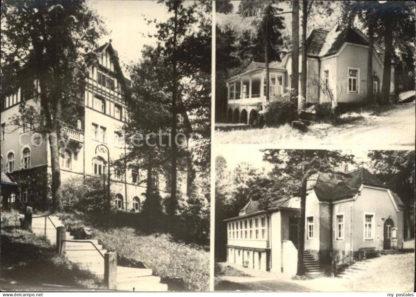 Hohwald Sachsen Kreis Sebnitz