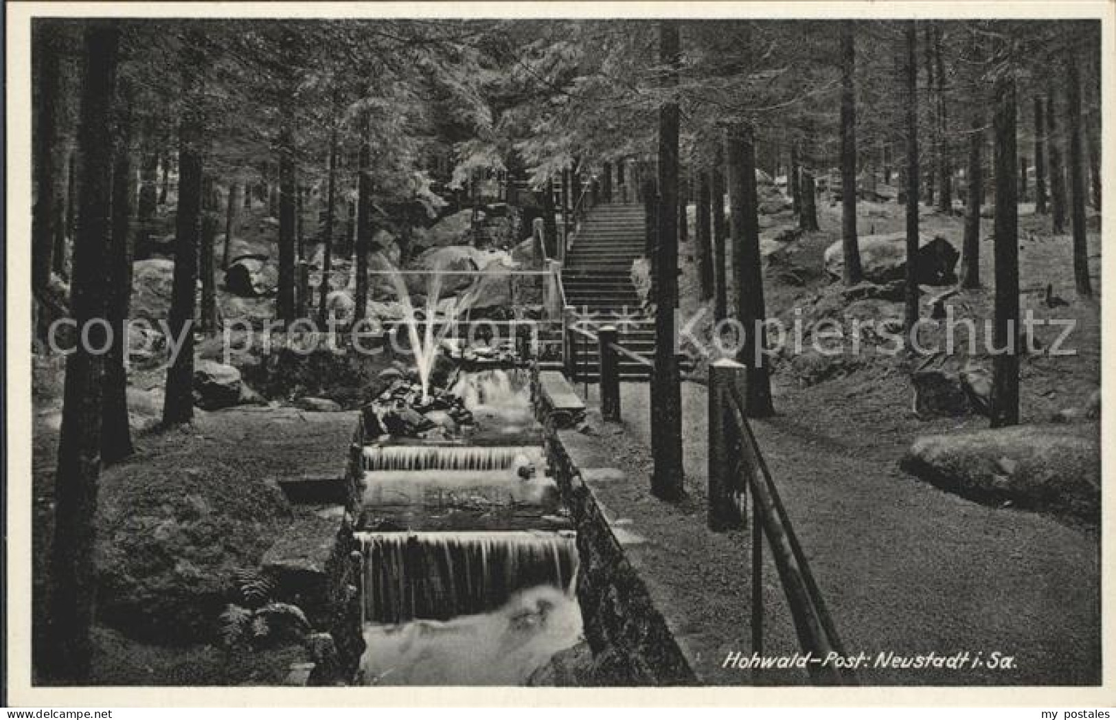 Hohwald Sachsen Wald