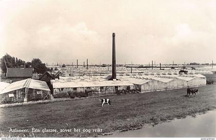 Nederland - AALSMEER - Een glaszee, zover het oog reikt