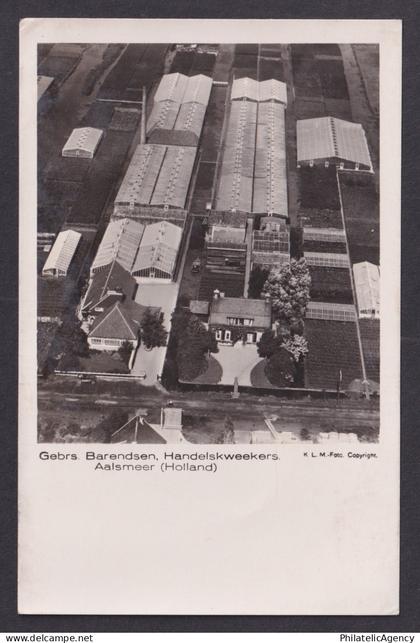 Vintage Postcard Netherlands Aalsmeer Gerbs Barendsen
