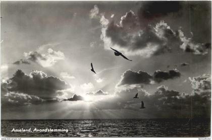 Ameland