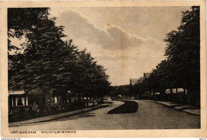 CPA APPINGEDAM Wilhelminaweg NETHERLANDS (706099)