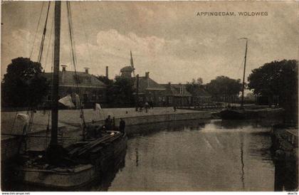 CPA APPINGEDAM Woldweg NETHERLANDS (706255)